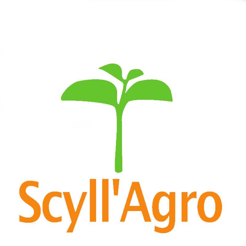 Scyll'Agro